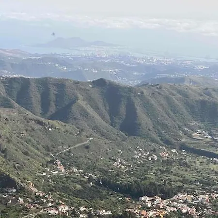 Ruta Del Tajinaste Azul Valsequillo de Gran Canaria