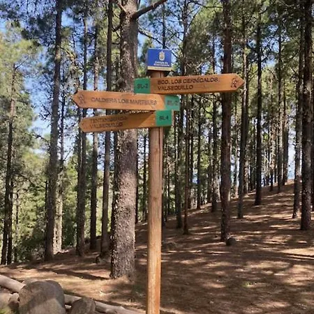 Ruta Del Tajinaste Azul *