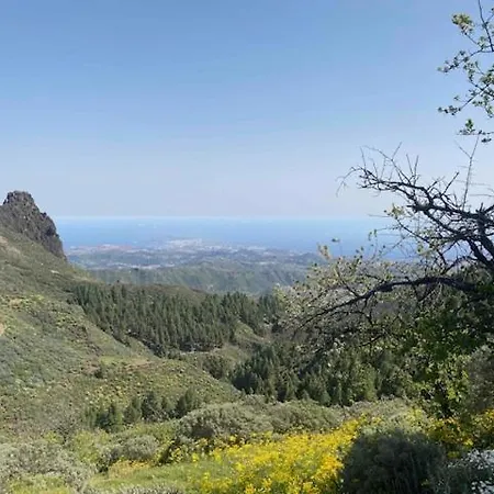 Ruta Del Tajinaste Azul Valsequillo de Gran Canaria