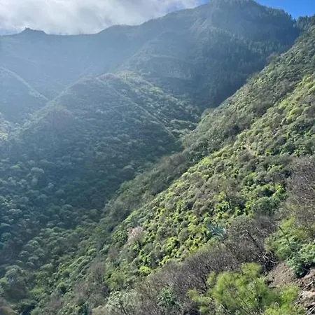 Ruta Del Tajinaste Azul