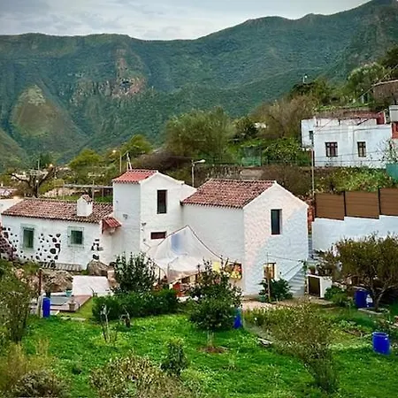 Ruta Del Tajinaste Azul Valsequillo de Gran Canaria