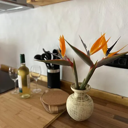 Ruta Del Tajinaste Azul Appartement Valsequillo de Gran Canaria